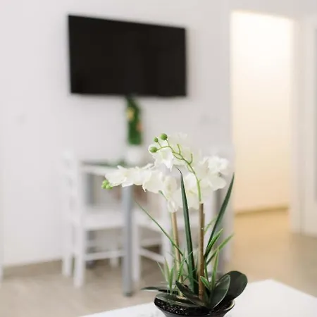 Ruza Apartmani Zadar Buitenkant foto